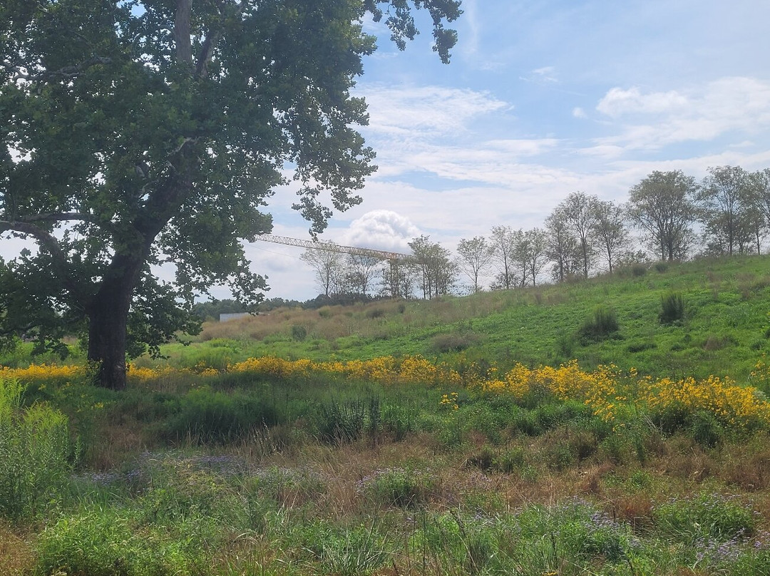 Glenstone Museum景点图片