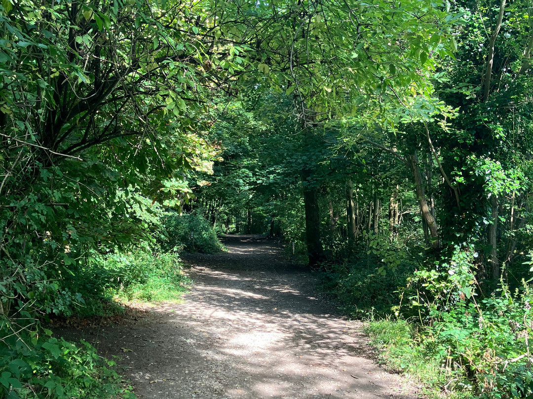 Trosley Country Park-Meopham必去景点