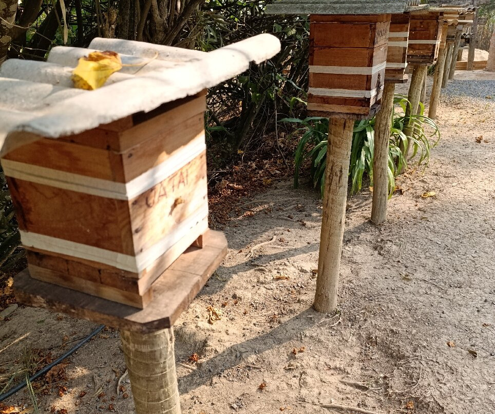 Apiário Flores da Serra-蒙特贝尔德必去景点