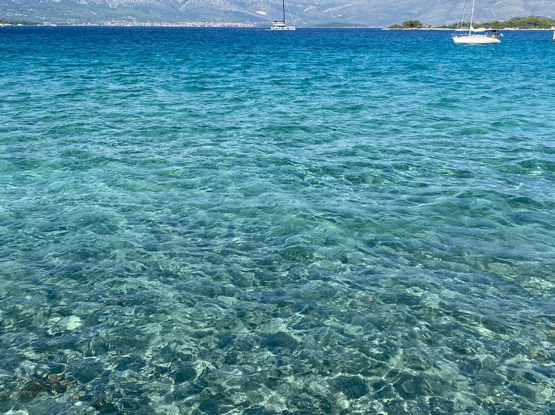 Guest House Lovric主图