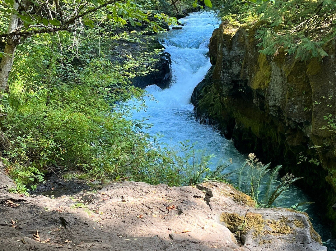 Zoller's Outdoor Odysseys-White Salmon必去景点