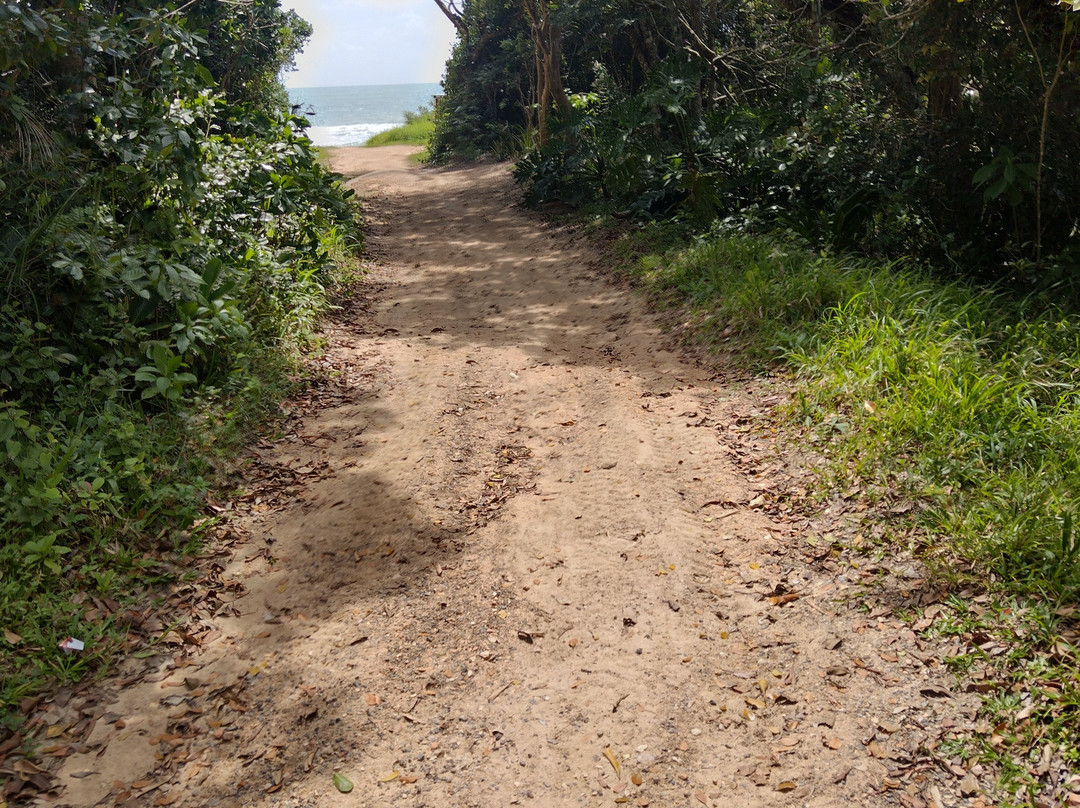 Praia Do Sissial E Dos Ilhéus景点图片