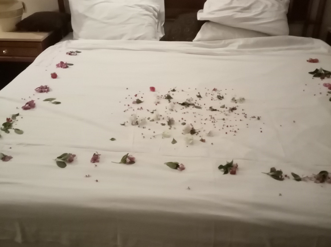 玛丽蒂姆卢克索酒店主图