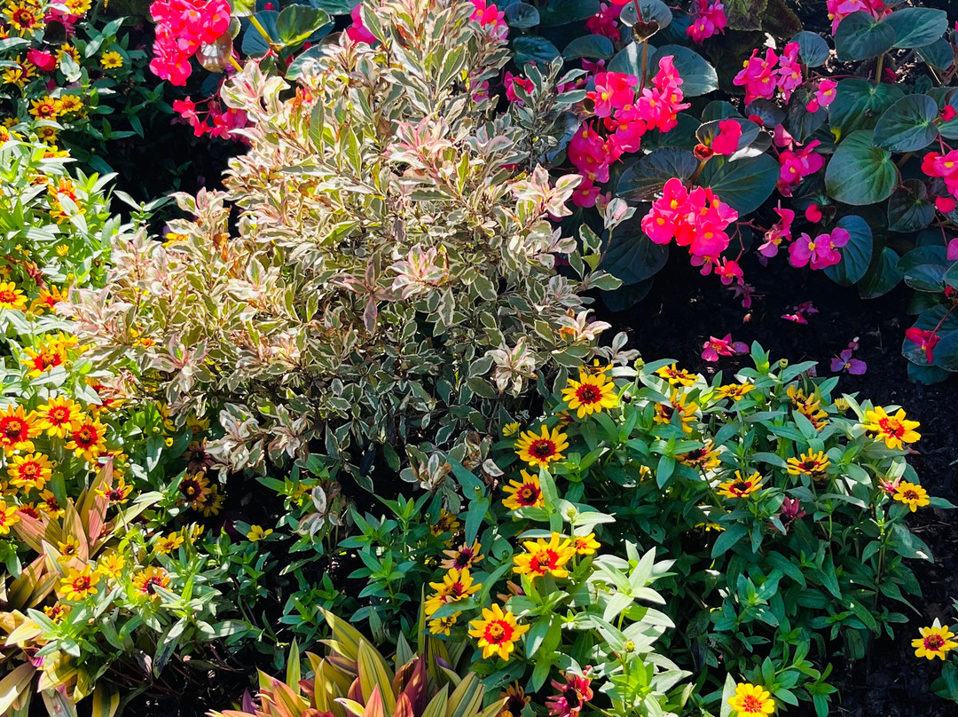 Clark Botanic Garden-Albertson必去景点