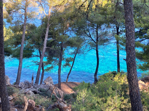 Mallorca Muntanya-索列尔港必去景点