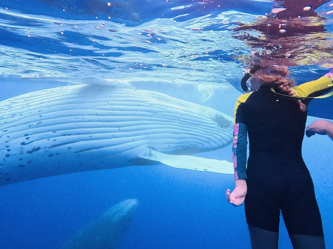 Explore Niue Island Tour-阿洛菲必去景点