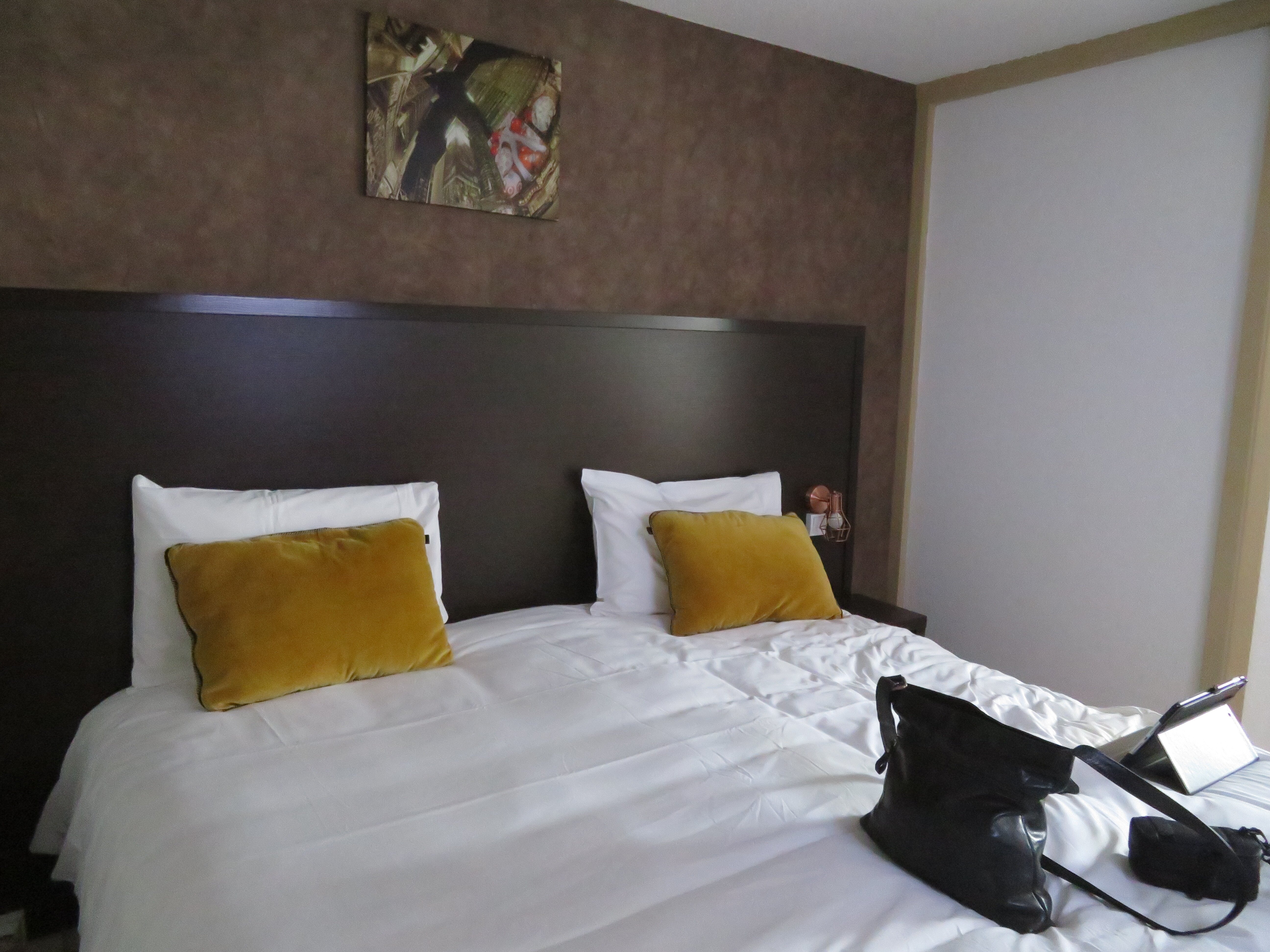 Shelder Hôtel-客卧