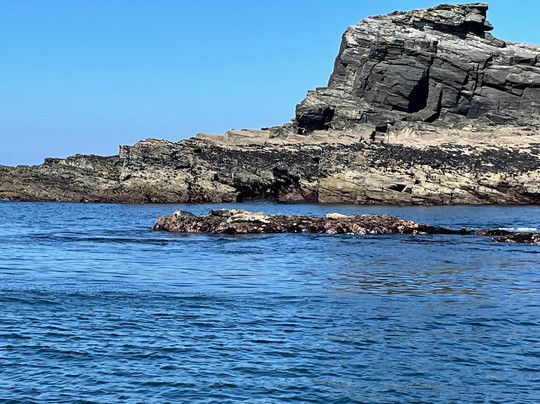 Seahorse Boat Trips-圣艾维斯必去景点