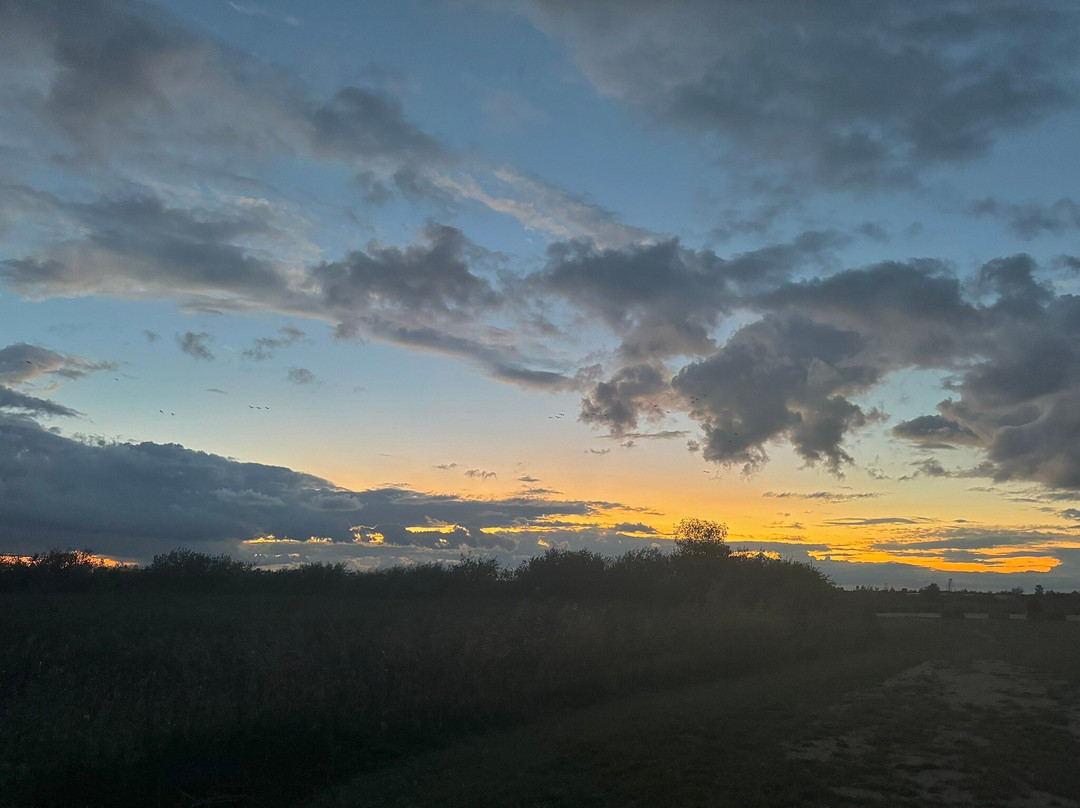 Oak Hammock Marsh Wetland Discovery Centre-Stony Mountain必去景点