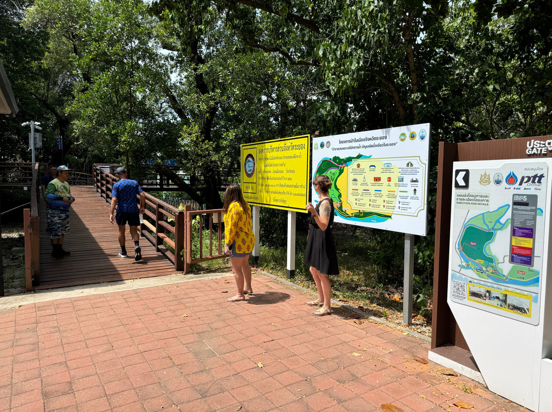 Mangrove Forest Learning Center-罗勇必去景点