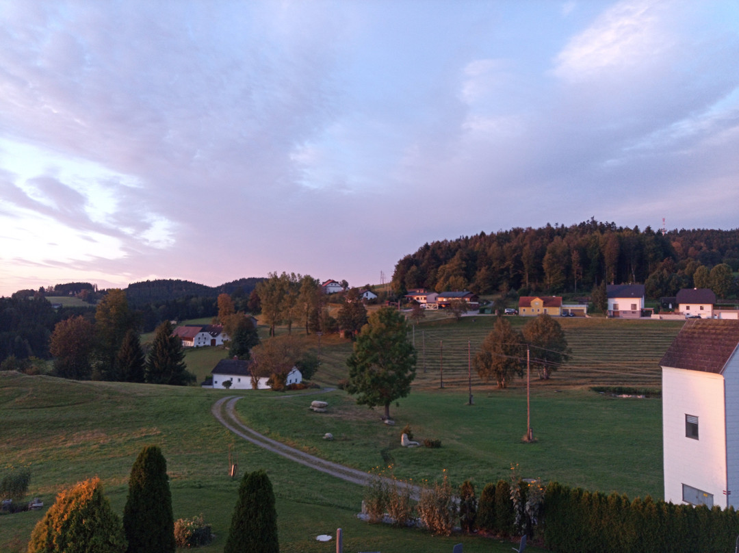 Hotel Rockenschaub主图