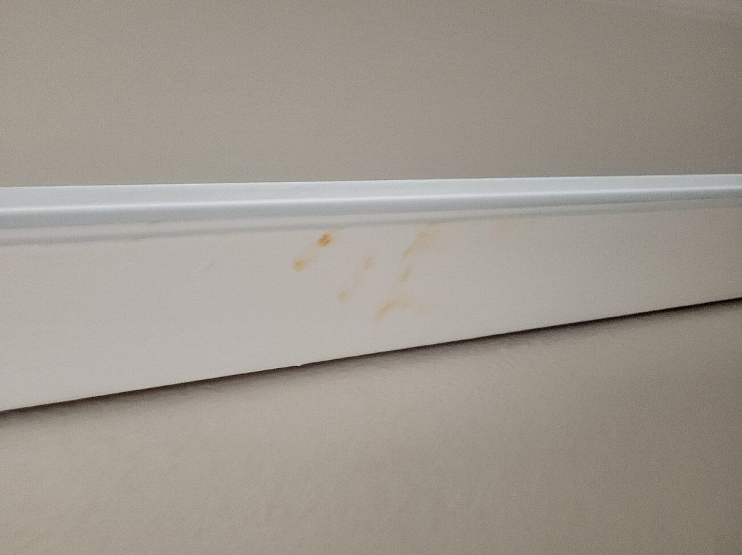 Hotel Pensacola主图