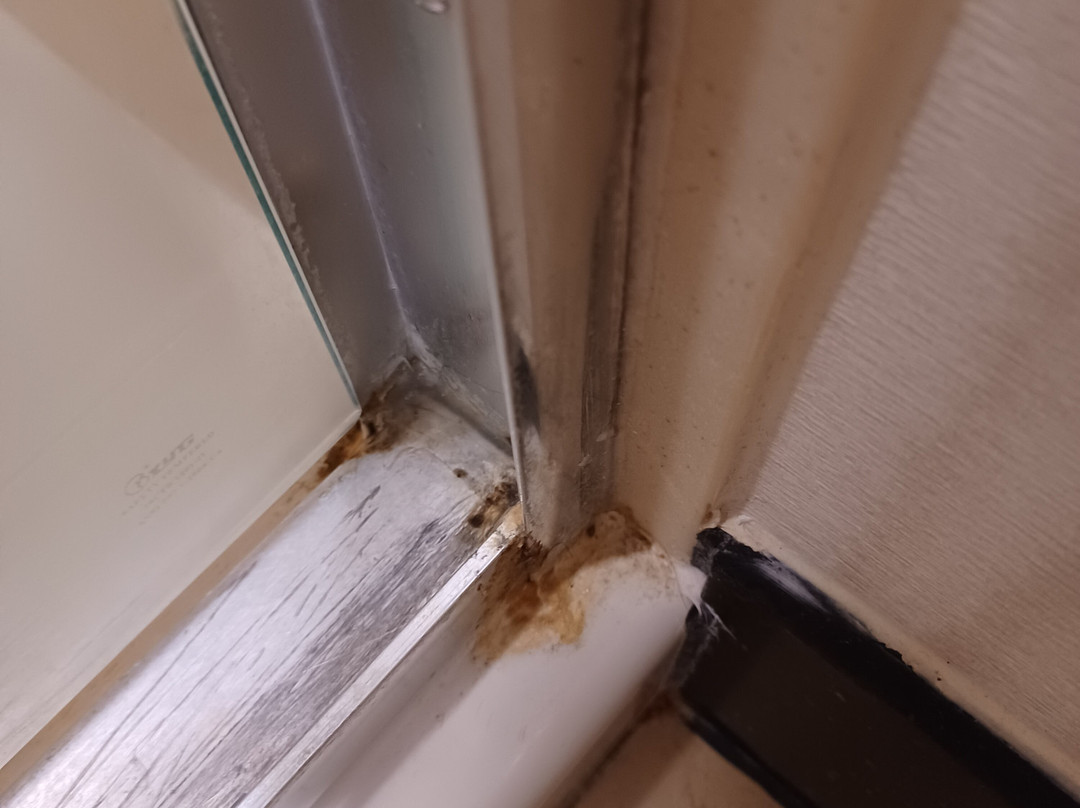 盖瑟斯堡洛克维尔希尔顿惠庭套房酒店主图