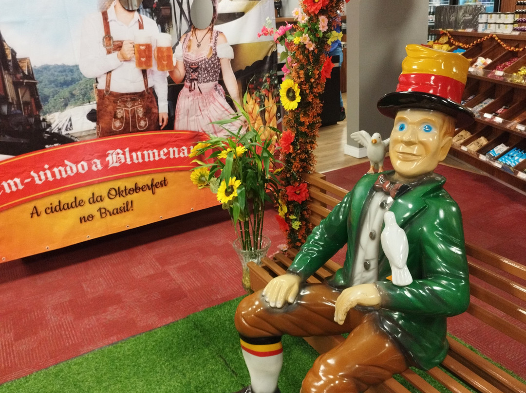 Hotel 10 Blumenau主图