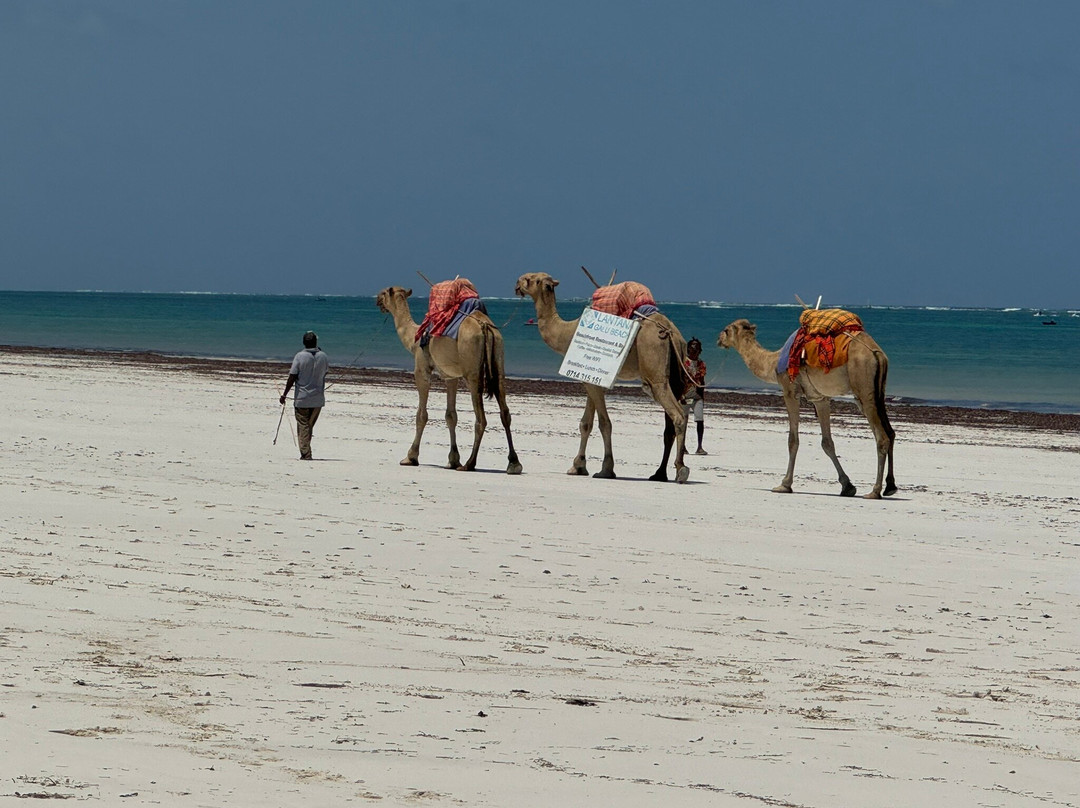 Mzima Beach Residences - Diani Beach