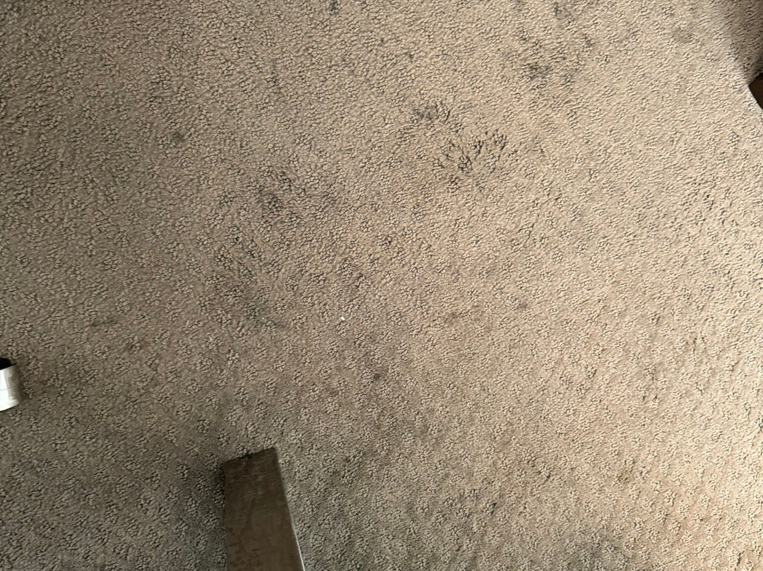 匹兹堡南皇冠假日酒店主图