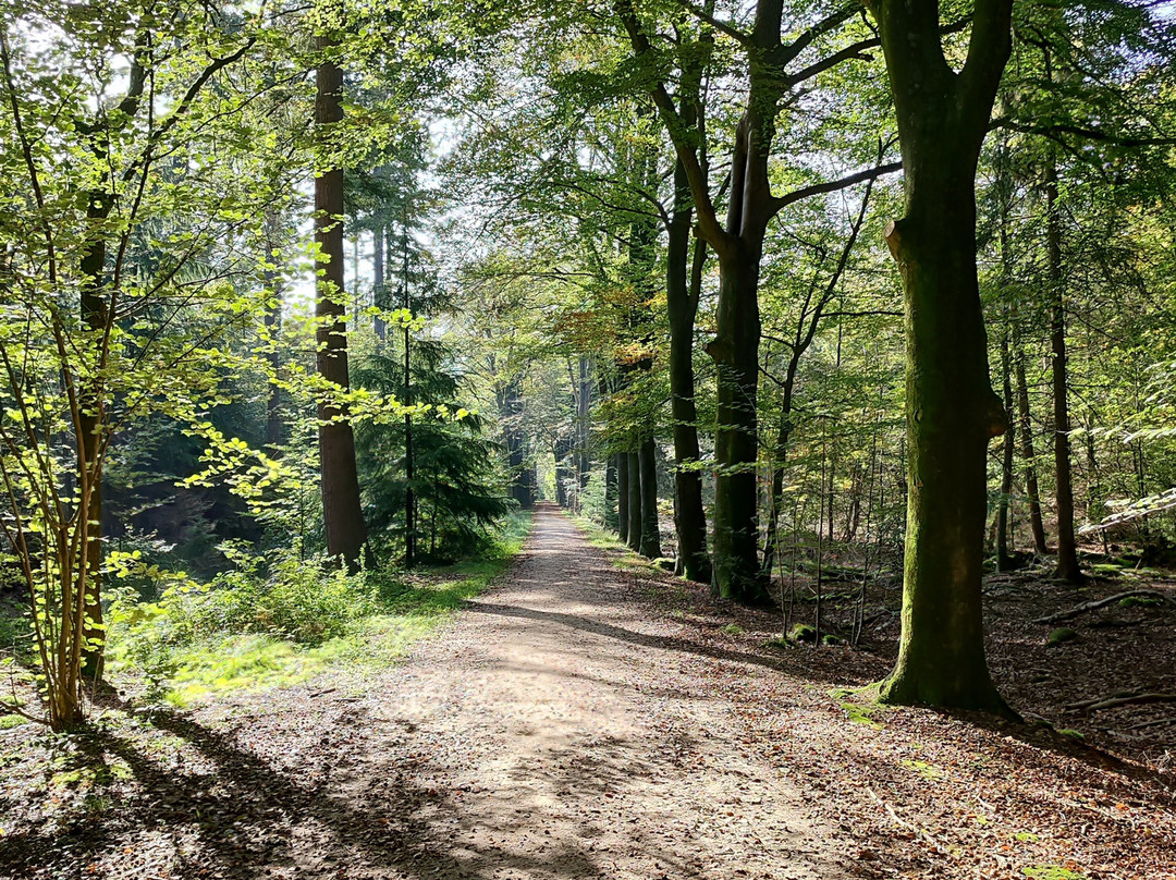 Levenspadwandeling Slangenburg-Doetinchem必去景点