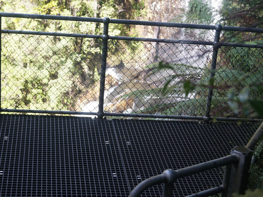 Philosopher Falls-Waratah必去景点