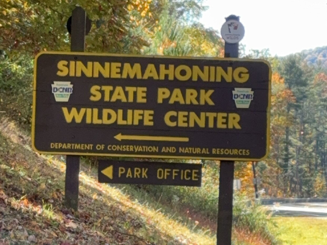 Sinnemahoning State Park景点图片