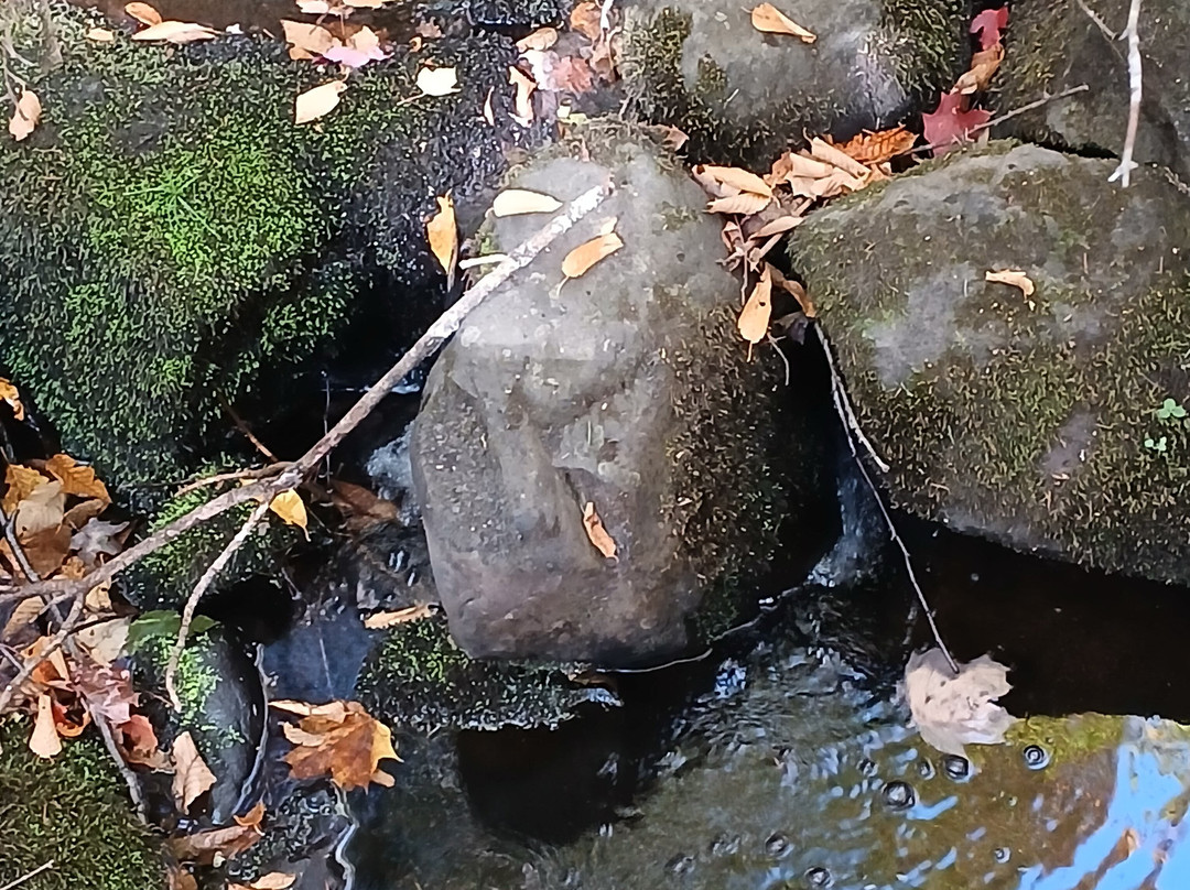 Silver Mountain-Baraga必去景点