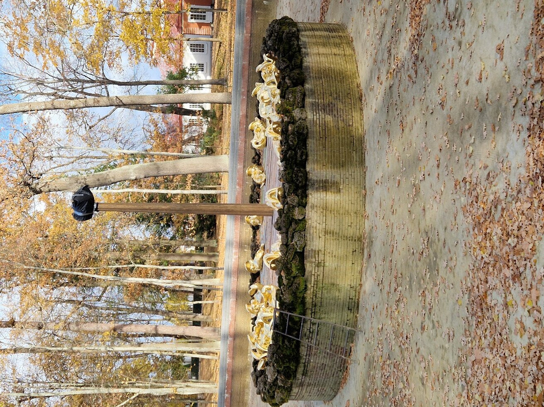 Nizhniy Park-彼得霍夫必去景点