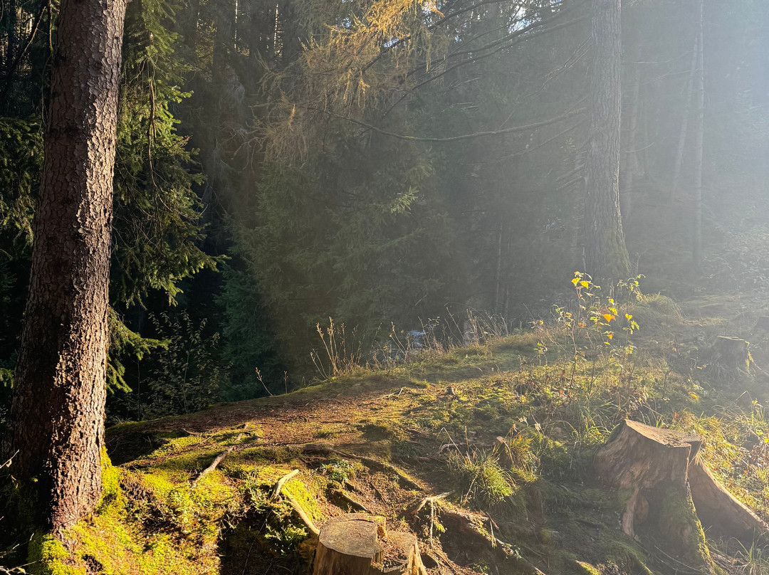 Fearless Horsemanship-Gotzens必去景点