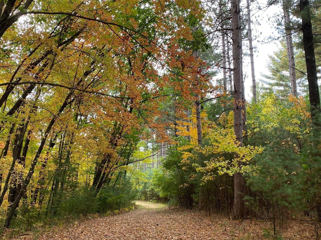 Hartman Creek State Park景点图片