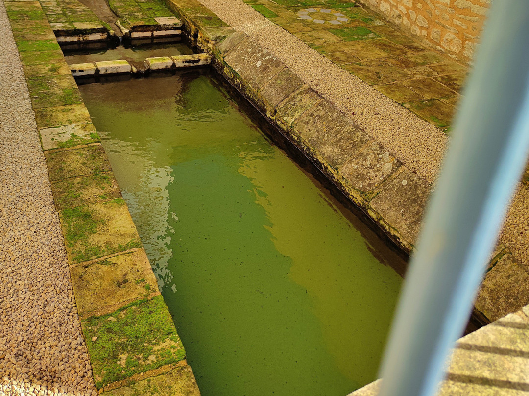 La Fontaine Aux Femmes景点图片
