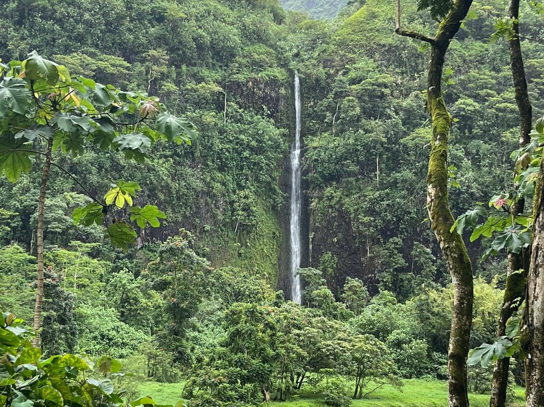 Le Rocher de Tahiti 4X4 Tours景点图片