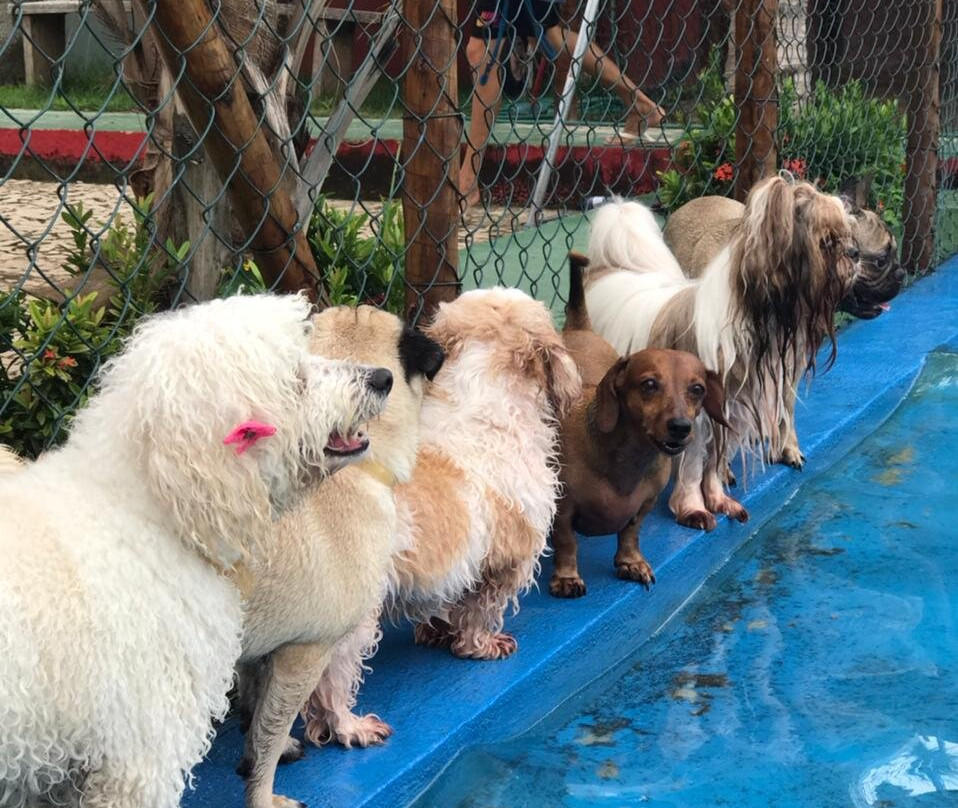 Pousada Italia Beach主图