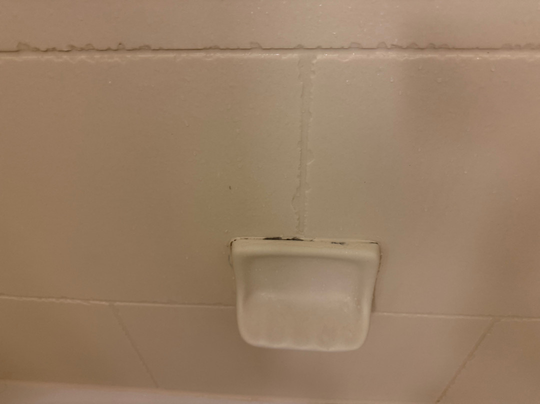 波赛尔/西雅图希尔顿花园酒店主图