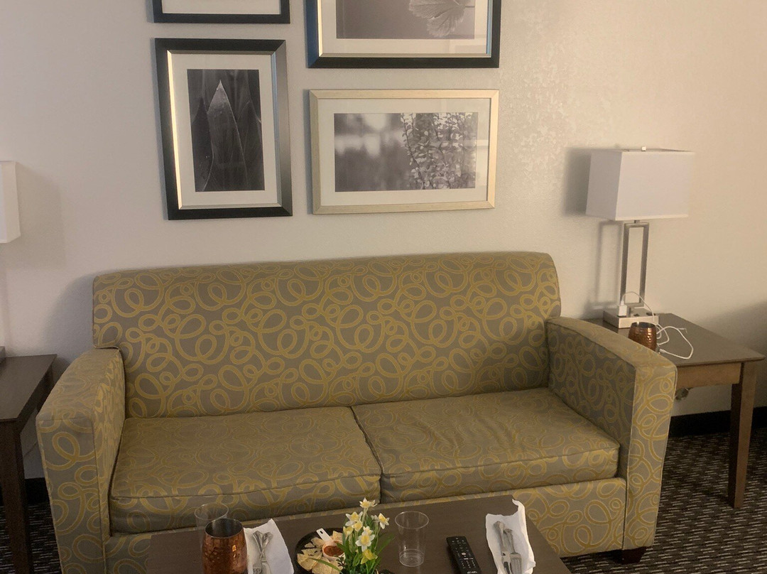 La Quinta Inn & Suites by Wyndham Oklahoma City Norman主图