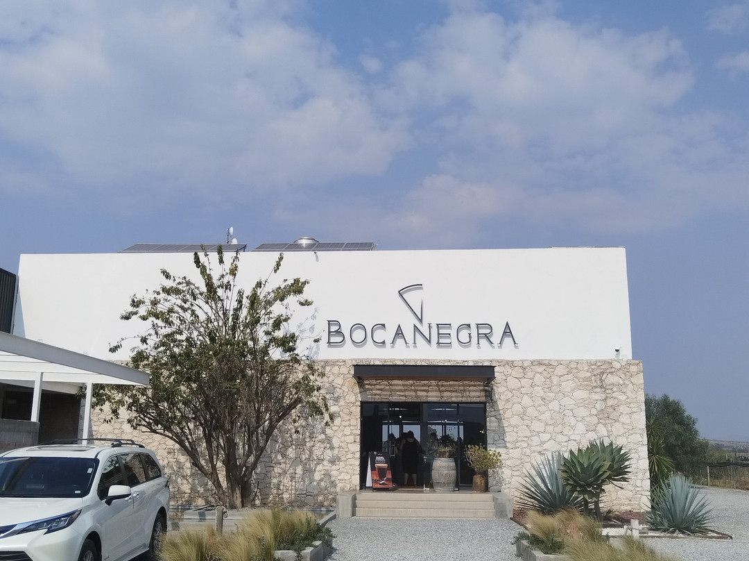 Bocanegra Cava de Quesos-Tequisquiapan必去景点