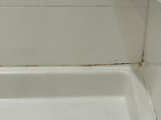 Tru by Hilton Knoxville West Turkey Creek主图