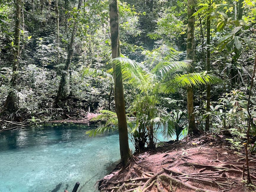 Travel Papua-曼诺瓦里必去景点