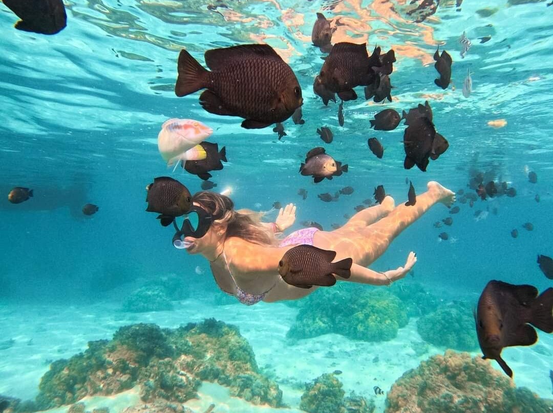 Seaman Diving-大湾必去景点