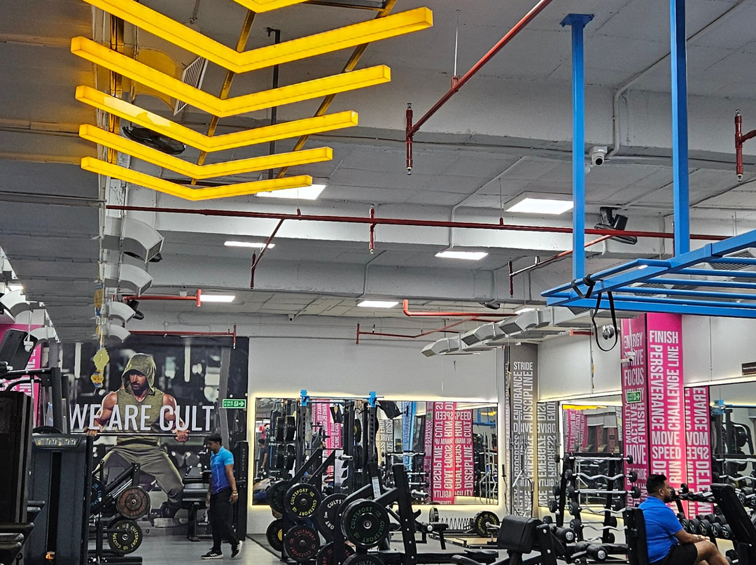 Comfort Inn Tulip Heights主图