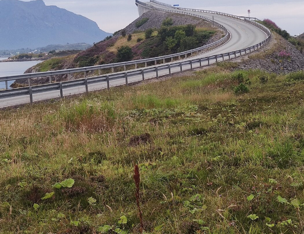 Norway Excursions景点图片