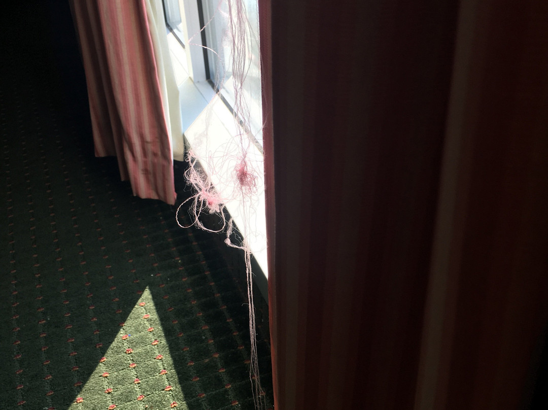 Quality Inn & Suites主图