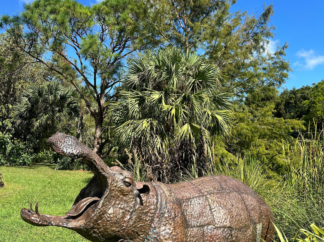 Mounts Botanical Garden景点图片