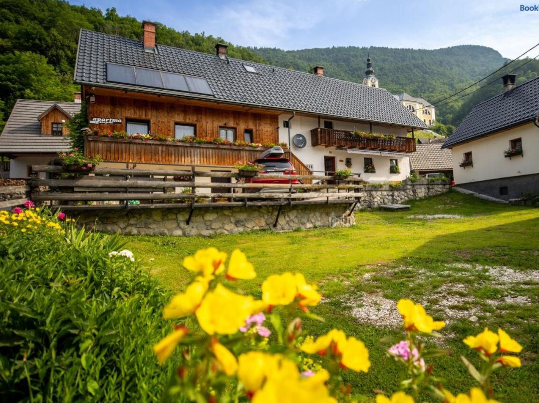 Apartments Kocjanc