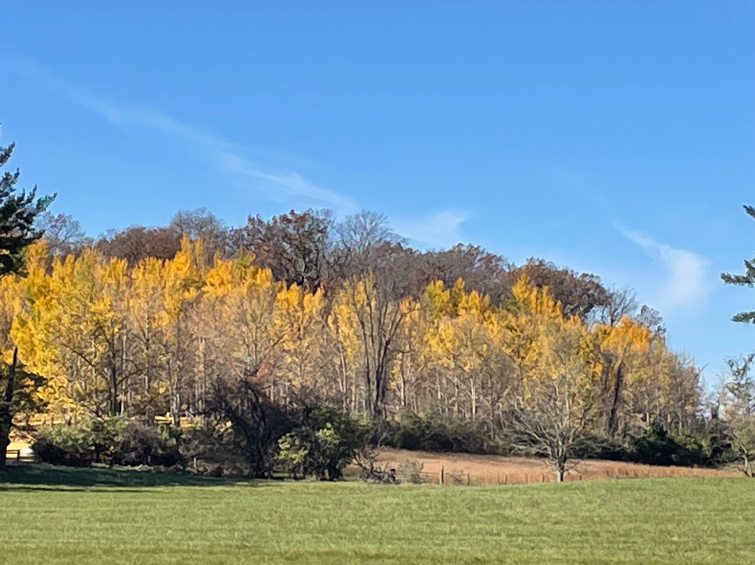 State Arboretum of Virginia景点图片