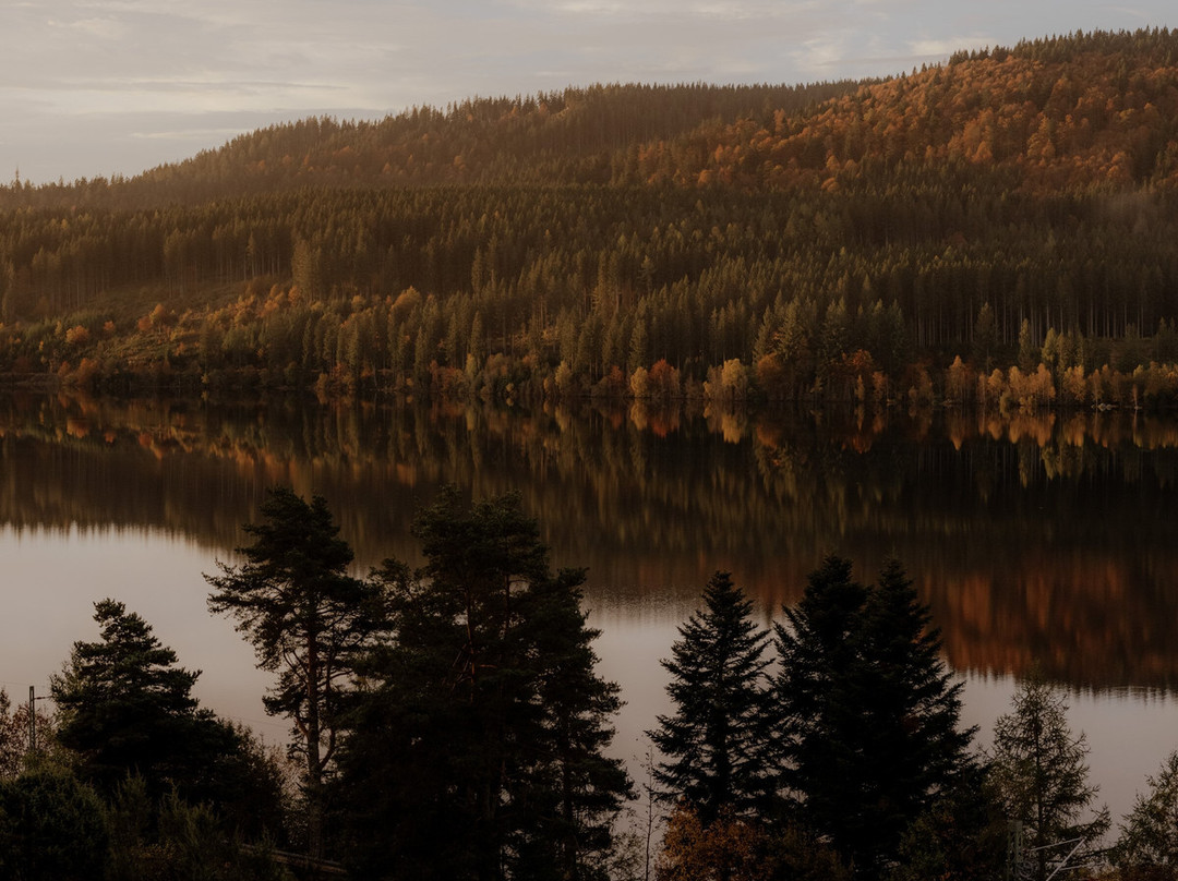 Hotel Auerhahn主图