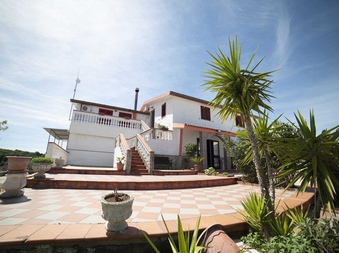 B&B Belvedere