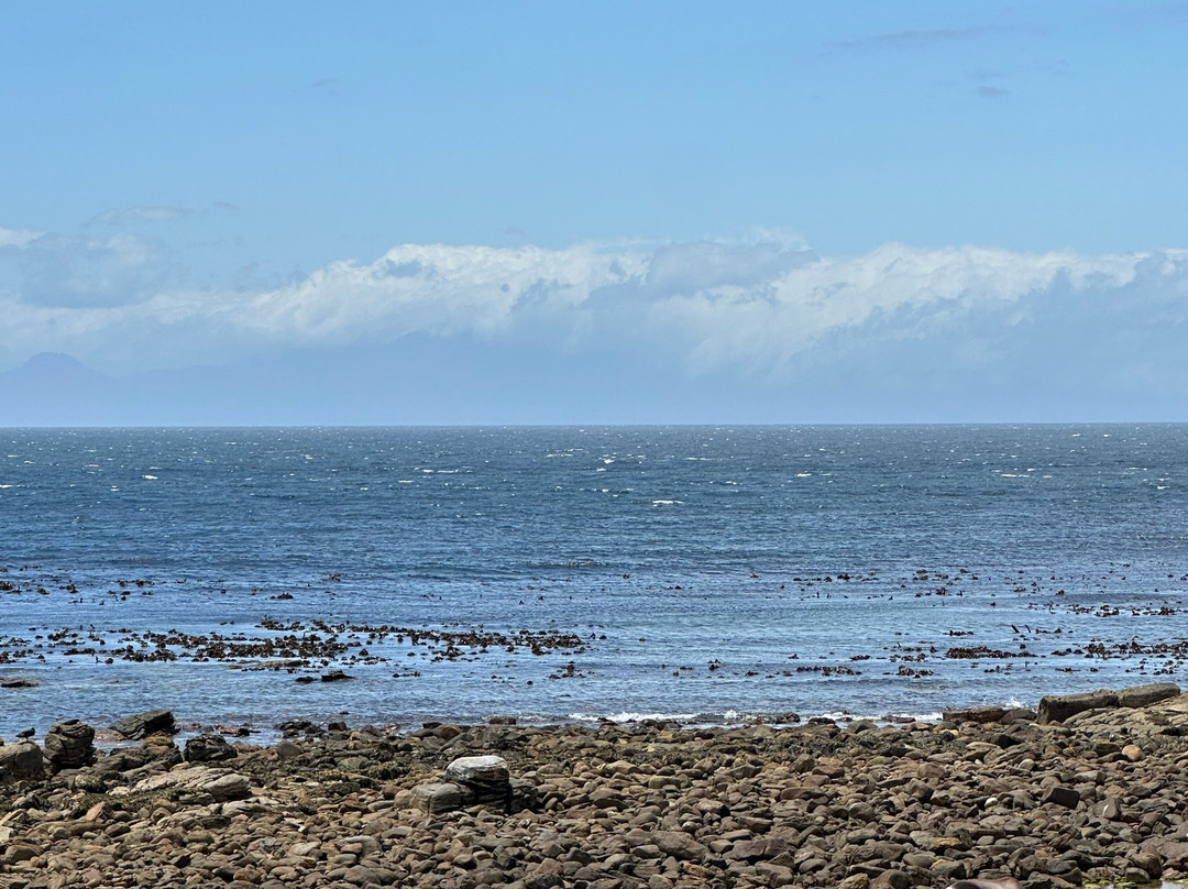 Inmotion - Create Your Balance-Sea Point必去景点