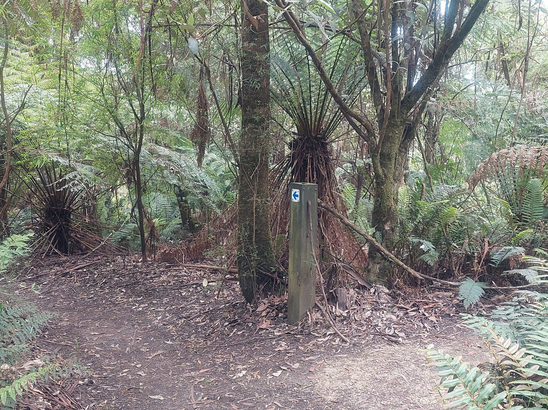 Triplet Falls-Beech Forest必去景点
