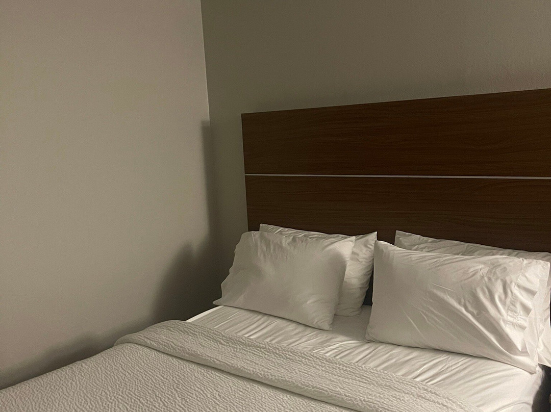 Holiday Inn Express Howe (Sturgis MI) by IHG主图