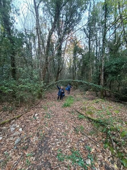 Sorgente ipotermale Bollori e Putizza-Gambassi Terme必去景点