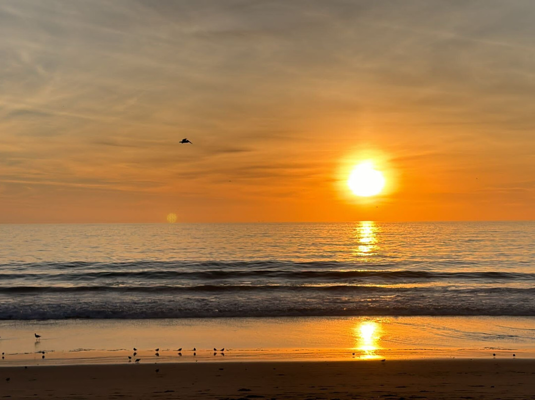 The Boardwalk Village主图