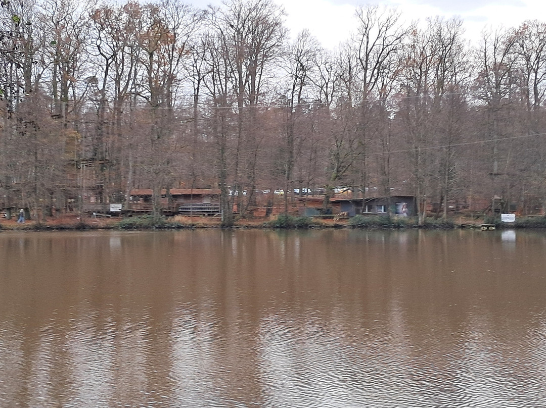 Naherholungsgebiet Jägersburg-Homburg必去景点